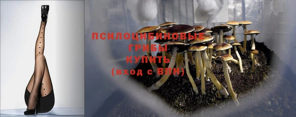 таблы Алзамай