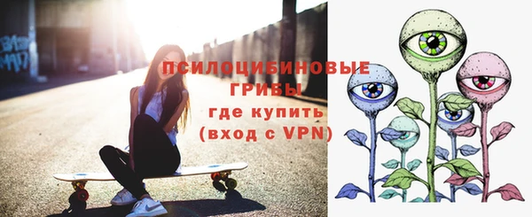 не бодяженный Алексин