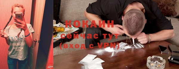 не бодяженный Алексин